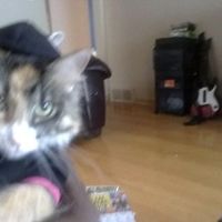 NWR: Show off your fur baby!