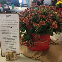 Pro and Non Pro Bam! pic heavy - 11