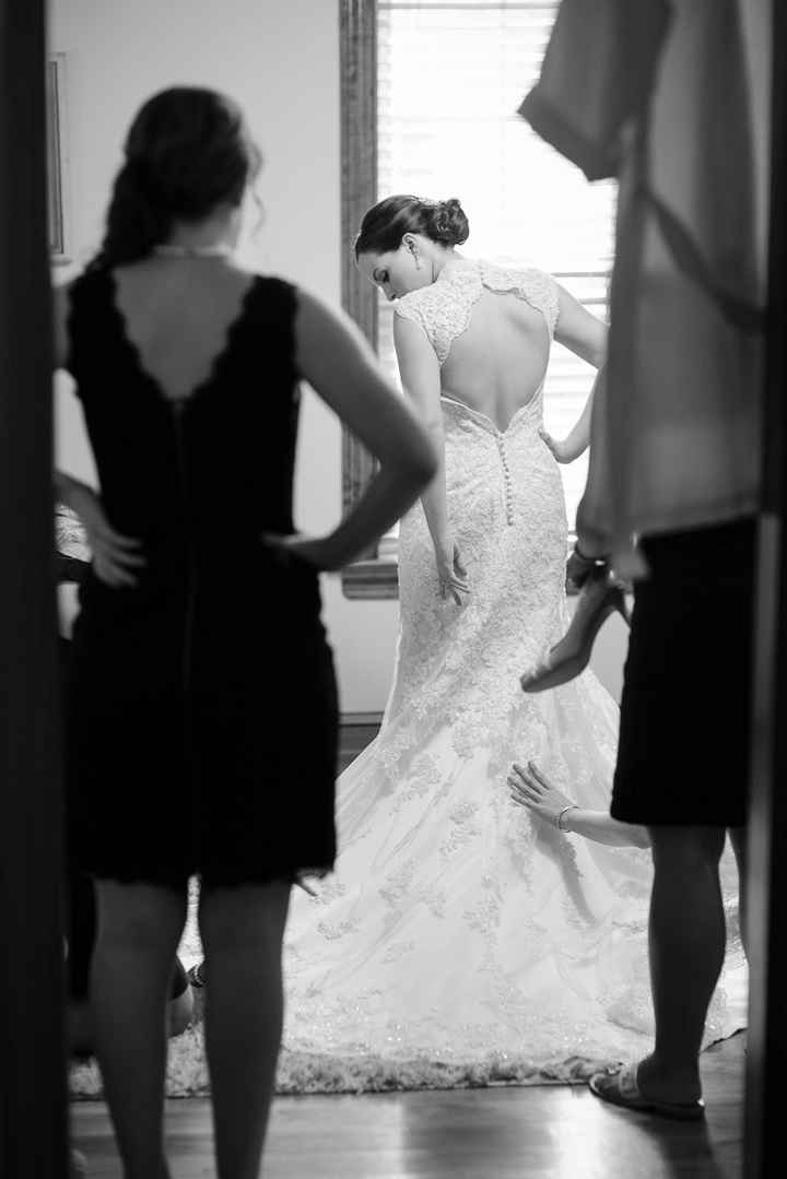 Professional pictures are in!