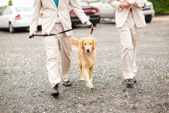 Professional pictures are in!