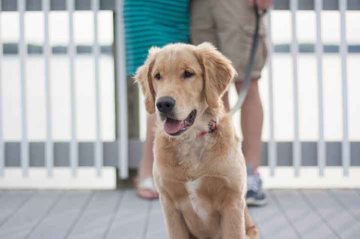 Happy things happy things - I have e-pics to share! *pic heavy*