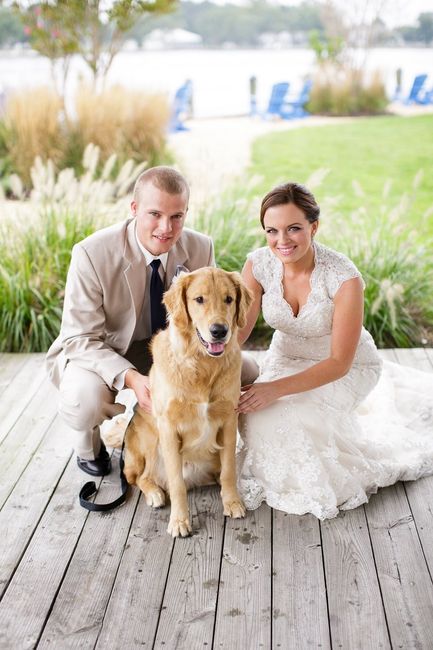 Professional pictures are in!