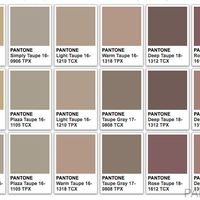 What would you call this color? - 1