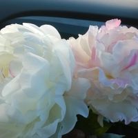 Fake flowers for the cake?