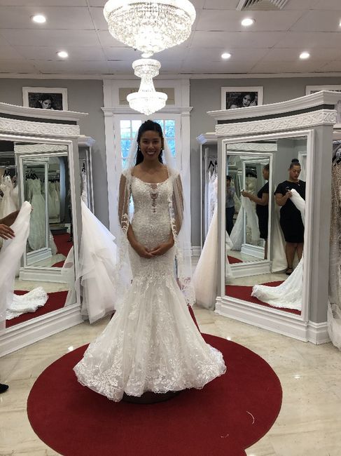 allure C541?? 1