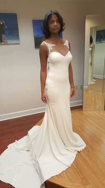 Wedding Dress Yay or Nay - 4