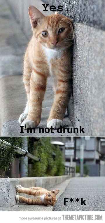 What happened to the 'like' button?