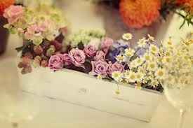 i need some inspiration for my centerpeices, my tables are  oblong.  im stuck on ideas help ladies