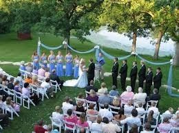 Trellis - Tips, Advice, and Ideas needed