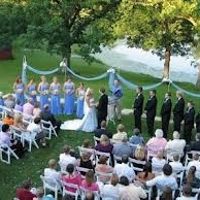 Trellis - Tips, Advice, and Ideas needed