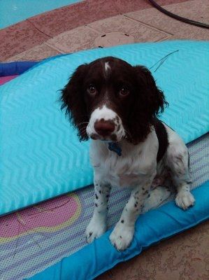 NWR: Show off your fur baby!