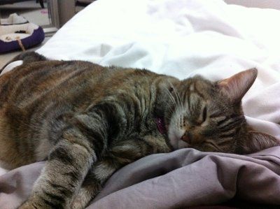 NWR: Show off your fur baby!