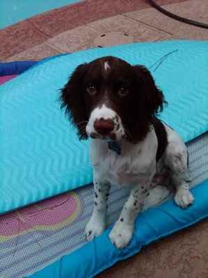 NWR: Show off your fur baby!