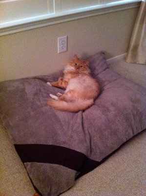 NWR: Show off your fur baby!