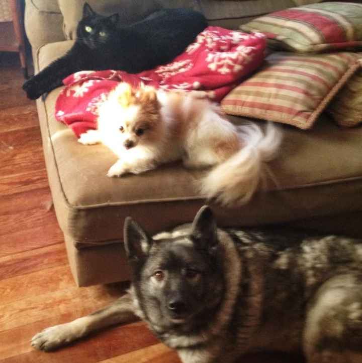 Technically I'm a mom too! Lol