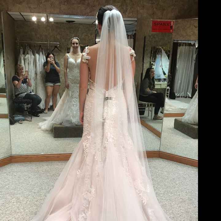  Help! Undergarments? - 1