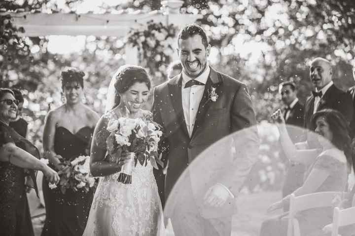 Pro Bam! Pic heavy - 5