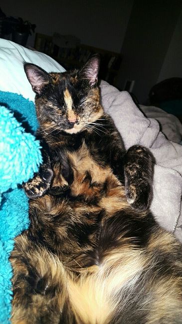 NWR Our newest addition to the family