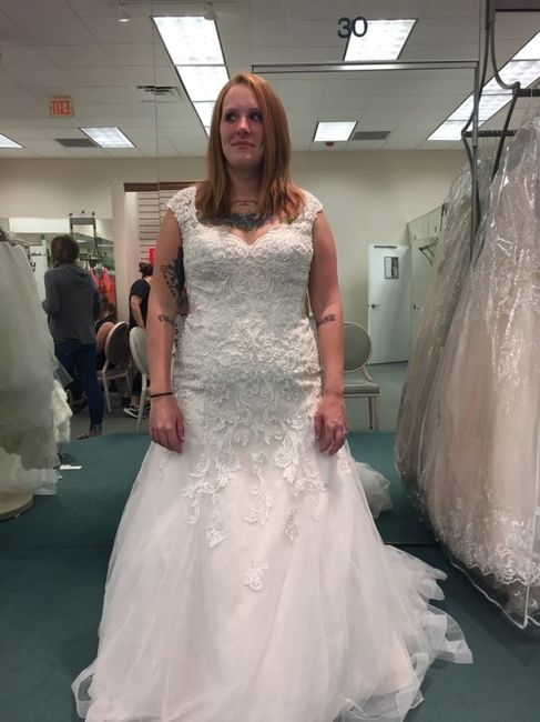 Show Me Your Dress!!! - 1