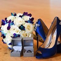 A look at our colors