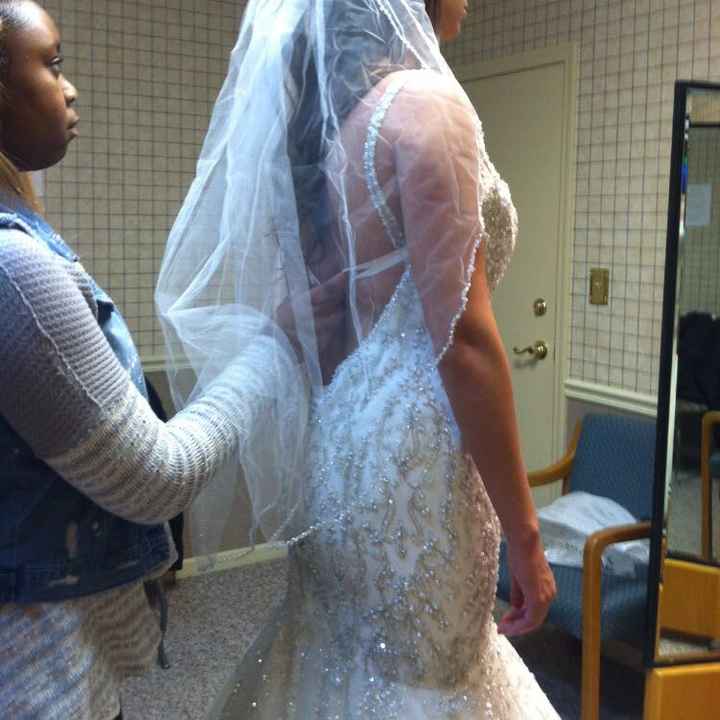 Veil or no veil? - 1