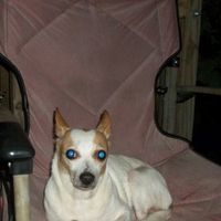 *NWR* Post pics of your furry (or not so furry) kids!