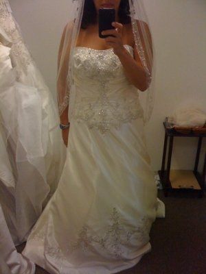 To veil or not to veil, that is the question. Help me decide.