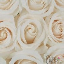 Number of Flowers