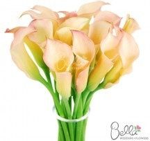 Number of Flowers