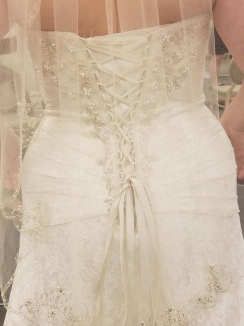 The back