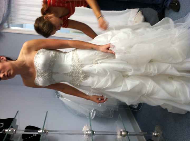 Major wedding dress debate here, please advise!