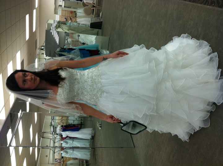 Major wedding dress debate here, please advise!