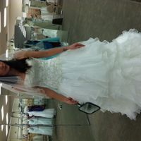 Major wedding dress debate here, please advise!