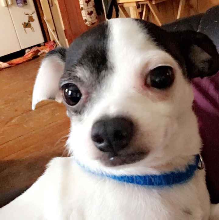 Post a pic of something that makes you happy!