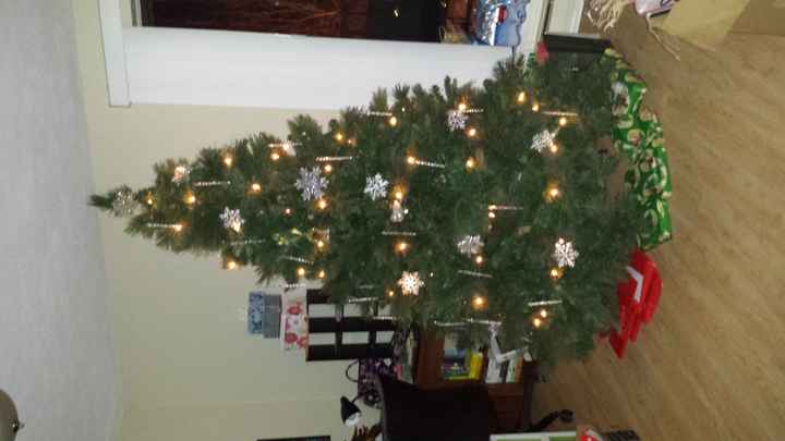 NWR Show me your tree!