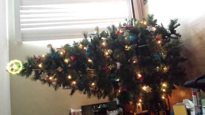 NWR Show me your tree!