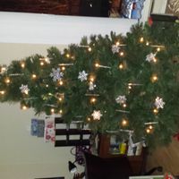 NWR Show me your tree!