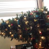 NWR Show me your tree!