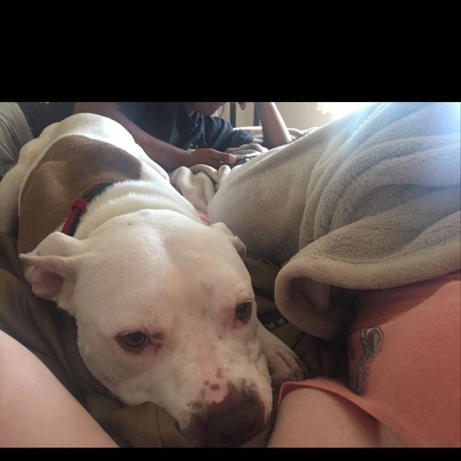 NWR- furbaby is glued to my hip