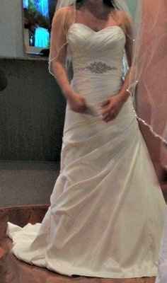 Anyone have there wedding dress picked out? Pics?