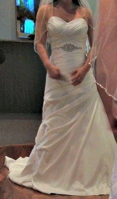 Anyone have there wedding dress picked out? Pics?