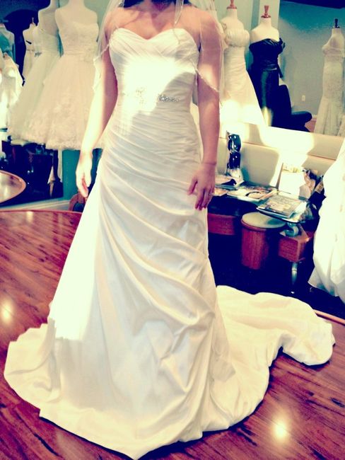 Wedding Dress Dilemma.