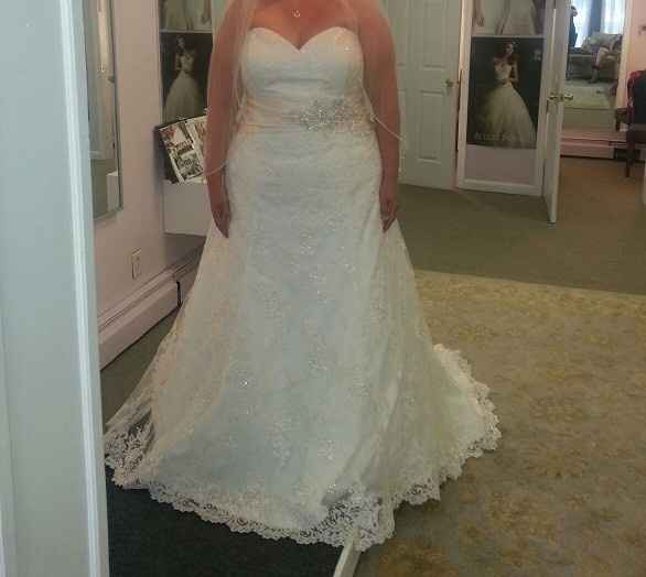 Plus-size brides!