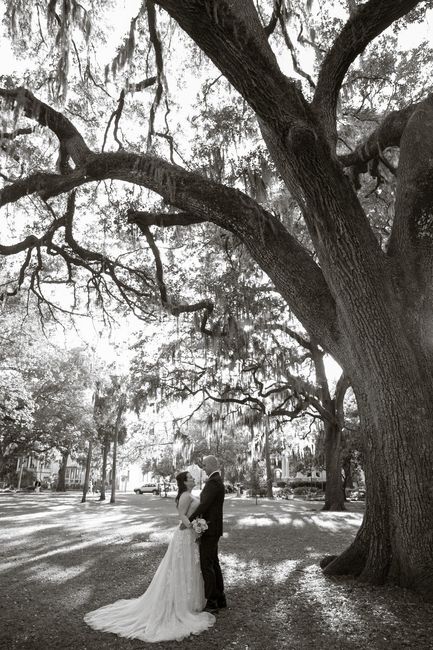 Trees and Moss and all the romance.