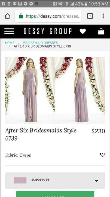 Bridesmaid Dresses - Help!
