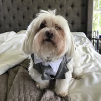 Just wanted to show off my handsome man