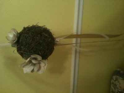 DIY Aisle Poms