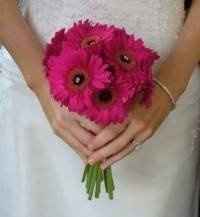 Buy flowers wholesale