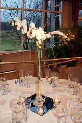 flowers, flowers, flowers OH MY!