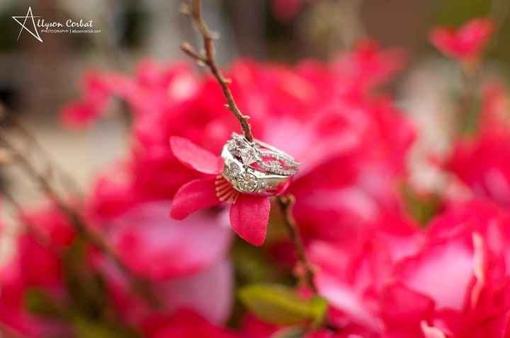 **I'm married!!! w/ Wedding Pro Pics!  **